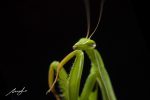 dsc3362_73043